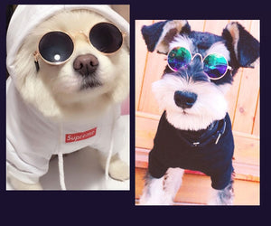 Pet Sunglasses