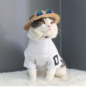 Pet Sunglasses