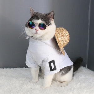 Pet Sunglasses