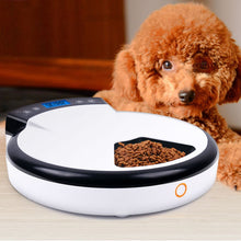 Load image into Gallery viewer, 5 Meal Electric Automatic Pet Feeder